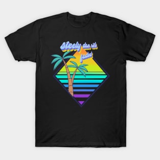 Steely Dan - Retro Faded - Style Beach Design T-Shirt